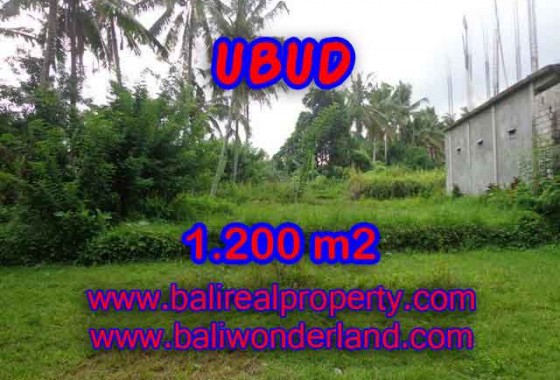 INVESTASI PROPERTI DI BALI - DIJUAL TANAH MURAH DI UBUD TJUB399