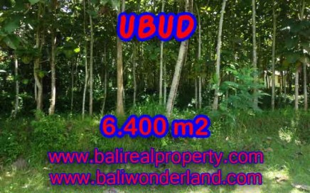 Murah ! Tanah di UBUD Bali Dijual Rp 1.450.000 / m2 - TJUB401