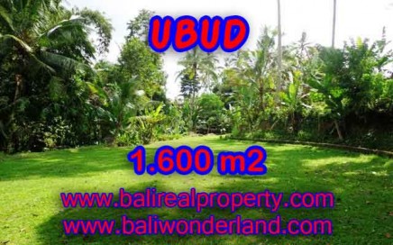 DIJUAL TANAH DI UBUD RP 3.850.000 / M2 - TJUB416 - INVESTASI PROPERTY DI BALI