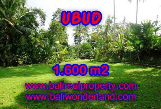 JUAL TANAH DI UBUD BALI TJUB416 - PELUANG INVESTASI PROPERTY DI BALI