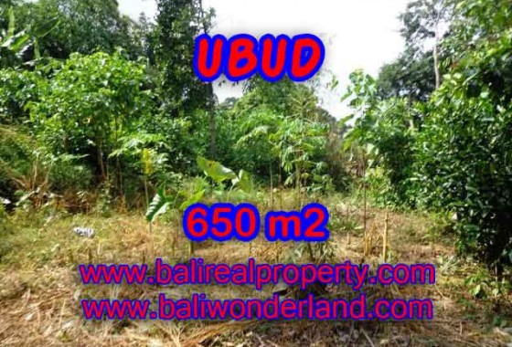 TANAH DIJUAL DI UBUD BALI TJUB417 - PELUANG INVESTASI PROPERTY DI BALI