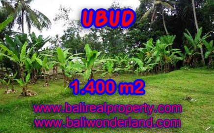 DIJUAL TANAH DI BALI, MURAH DI UBUD RP 1.000.000 / M2 - TJUB419