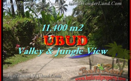 tanah murah di bali,tanah dijual di UBUD,jual tanah di UBUD,tanah di Bali dijual,tanah di UBUD Bali dijual,tanah di UBUD dijual,tanah murah di UBUD Bali,investasi properti di Bali