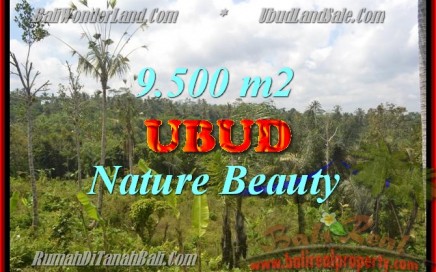 TANAH DI UBUD MURAH DIJUAL TJUB430 - INVESTASI PROPERTY DI BALI