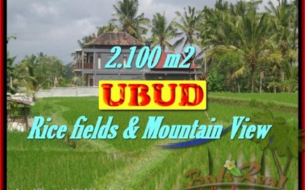 INVESTASI PROPERTI DI BALI - TANAH MURAH DIJUAL DI UBUD BALI TJUB423