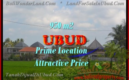 TANAH DIJUAL DI UBUD MURAH RP 5.850.000 / M2 - TJUB428