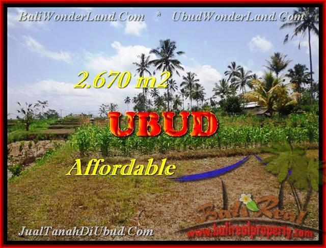 TANAH MURAH di UBUD BALI 2670 m2 View kebun dan sungai kecil