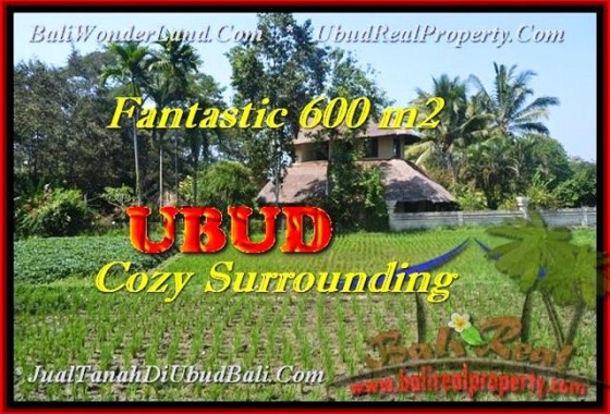 INVESTASI PROPERTI, TANAH di UBUD DIJUAL TJUB452