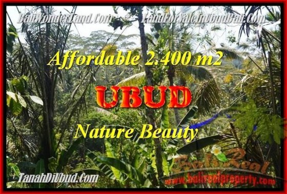 JUAL MURAH TANAH di UBUD 2400 m2 di Ubud Pejeng