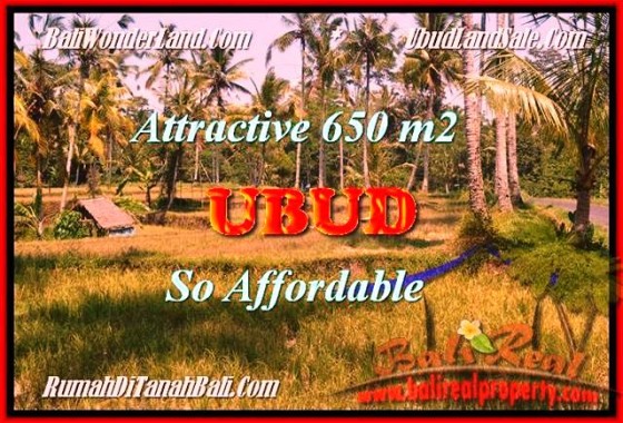 DIJUAL TANAH MURAH di UBUD TJUB455