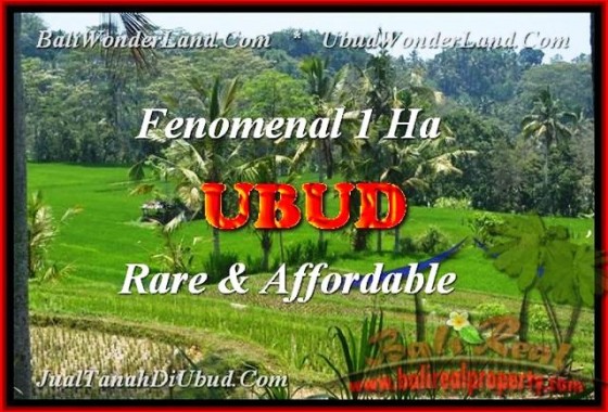 JUAL TANAH di UBUD BALI 100 Are View Sawah dan Gunung