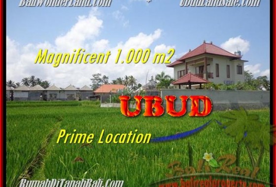 DIJUAL TANAH MURAH di UBUD BALI 1.000 m2 di Sentral Ubud