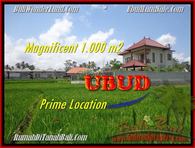 DIJUAL TANAH MURAH di UBUD BALI 1.000 m2 di Sentral Ubud