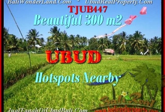 DIJUAL TANAH MURAH di UBUD BALI 300 m2 di Sentral Ubud