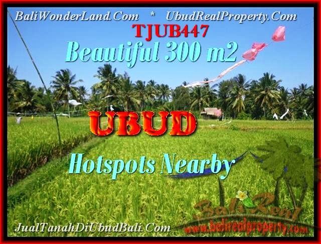 DIJUAL TANAH MURAH di UBUD BALI 300 m2 di Sentral Ubud