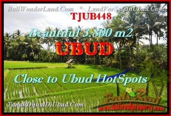 TANAH MURAH di UBUD DIJUAL 3.800 m2 di Sentral Ubud