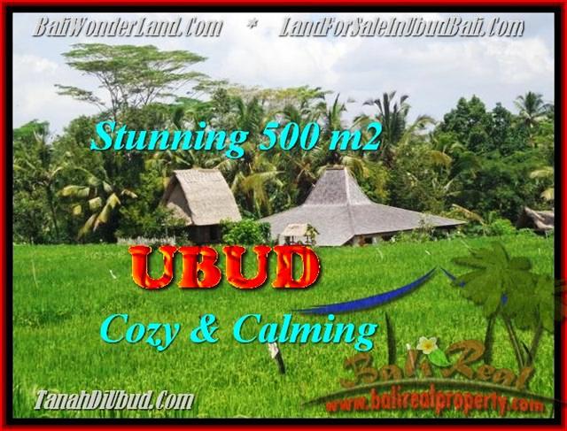 TANAH DIJUAL di UBUD BALI 5 Are di Ubud Payangan