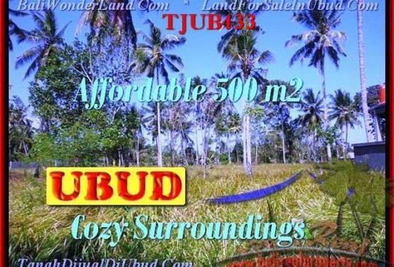 TJUB433-JUAL-TANAH-MURAH-DI-UBUD-UNTUK-INVESTASI-PROPERTI-DI-BALI