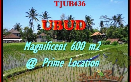 JUAL TANAH MURAH di UBUD BALI 300 m2 View sawah link villa