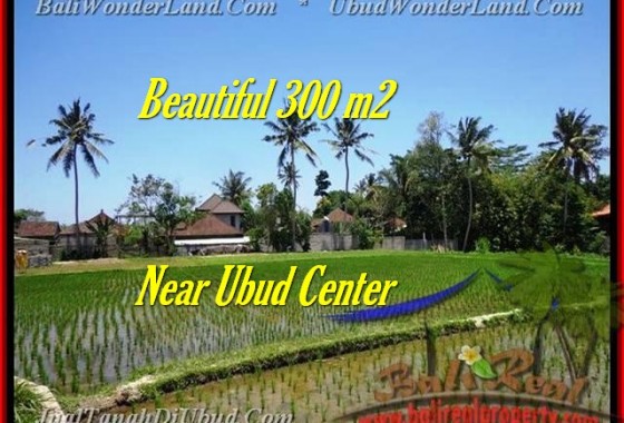 TANAH DIJUAL di UBUD Untuk INVESTASI TJUB436