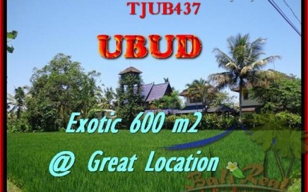 TANAH di UBUD JUAL 600 m2 View sawah link villa