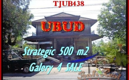 TANAH DIJUAL di UBUD BALI Untuk INVESTASI TJUB438