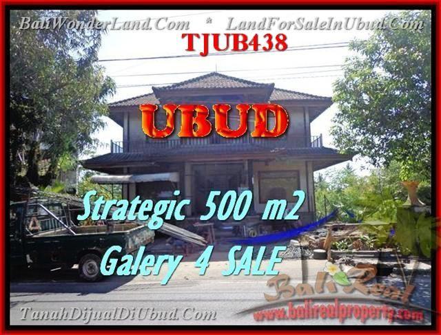 TANAH DIJUAL di UBUD BALI Untuk INVESTASI TJUB438