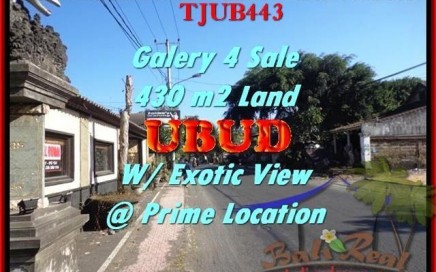 JUAL TANAH MURAH di UBUD BALI 4,3 Are Galery / Shop