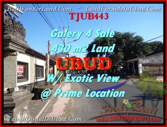 INVESTASI PROPERTI, TANAH DIJUAL di UBUD TJUB443