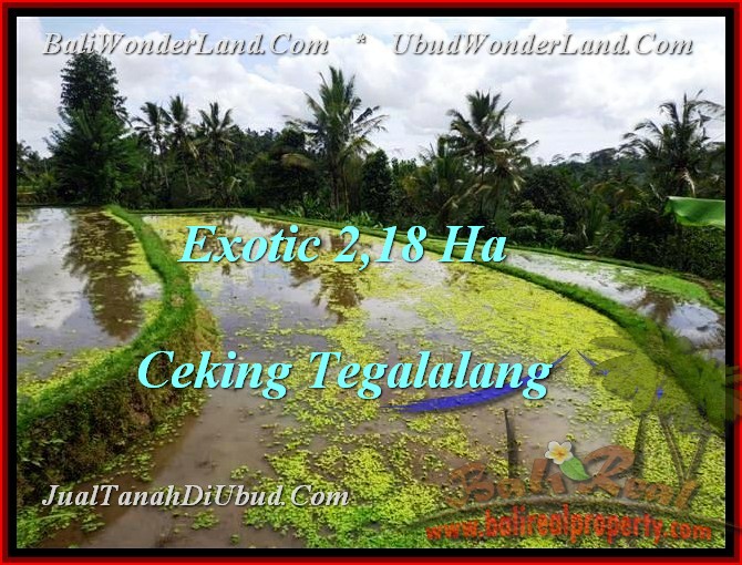 JUAL MURAH TANAH di UBUD BALI 21,800 m2 di Ubud Tegalalang