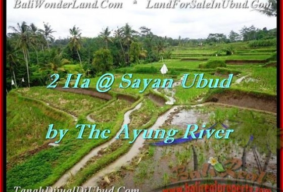 TANAH di UBUD BALI DIJUAL 20,000 m2 View tebing,sawah,sungai ayung