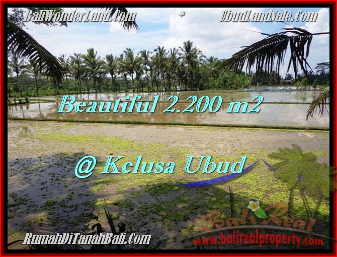 INVESTASI PROPERTY, JUAL MURAH TANAH di UBUD BALI TJUB475