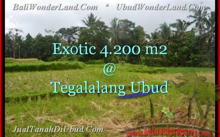 TANAH DIJUAL di UBUD 42 Are di Ubud Tegalalang