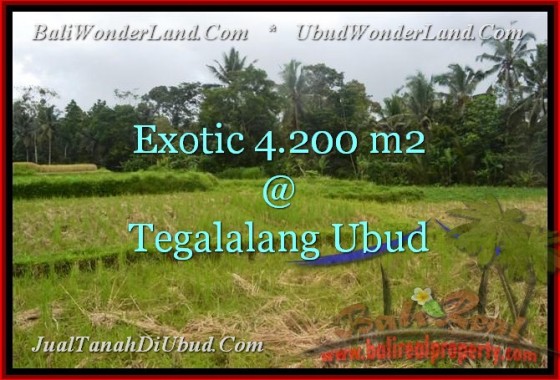 JUAL MURAH TANAH di UBUD BALI TJUB461