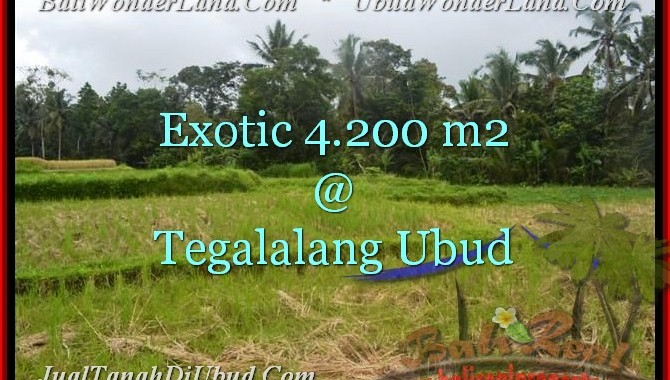 JUAL MURAH TANAH di UBUD BALI TJUB461