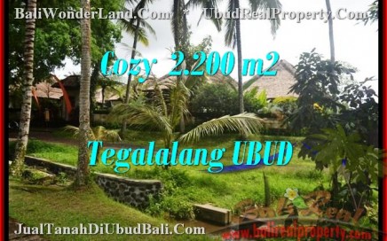 JUAL MURAH TANAH di UBUD BALI 2,200 m2 View Sawah dan sungai link Villa