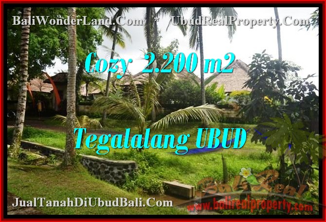 JUAL MURAH TANAH di UBUD BALI 2,200 m2  View Sawah dan sungai link Villa