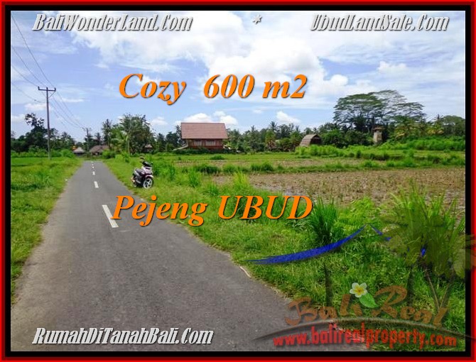 JUAL MURAH TANAH di UBUD 6 Are View Sawah, link villa