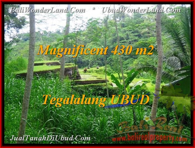 TANAH di UBUD BALI DIJUAL 430 m2 View Sawah, sungai, link Villa