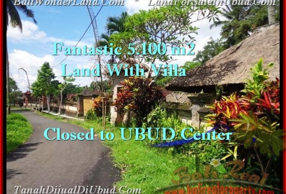 TANAH DIJUAL di UBUD 5,100 m2 di Ubud Pejeng