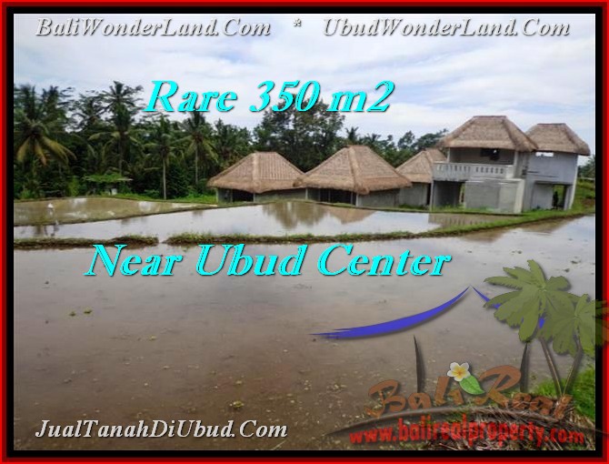 INVESTASI PROPERTY, JUAL MURAH TANAH di UBUD BALI TJUB476