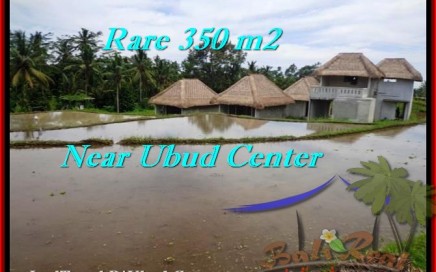 TANAH DIJUAL MURAH di UBUD BALI 3.5 Are di Ubud Tegalalang