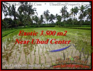 TANAH DIJUAL di UBUD TJUB477