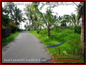 TANAH di UBUD BALI DIJUAL 3,500 m2 View sawah da gunung