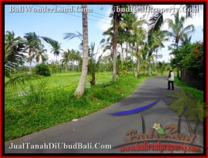 TANAH JUAL MURAH UBUD BALI 35 Are View sawah da gunung