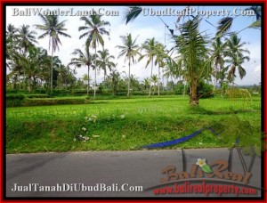 JUAL MURAH TANAH di UBUD 35 Are di Ubud Tegalalang