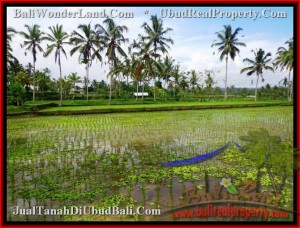 JUAL TANAH MURAH di UBUD 3,500 m2 View sawah da gunung