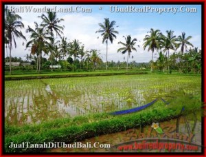 INVESTASI PROPERTI, TANAH di UBUD BALI DIJUAL TJUB477