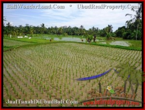 TANAH MURAH di UBUD Untuk INVESTASI TJUB477