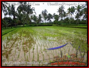 TANAH DIJUAL di UBUD 3,500 m2 di Ubud Tegalalang